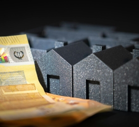 WhatsApp Image 2024-09-05 at 7.20.05 PM